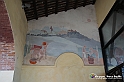 VBS_9498 - La Morra, Barolo, Grinzane Cavour, Pollenzo